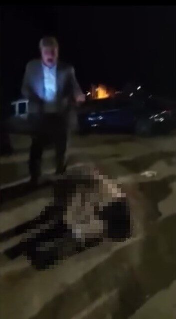 Muş-Bitlis karayolunda, yolun karşısına geçmeye çalışan Muhabbet Yalçın'a otomobil çarptı.