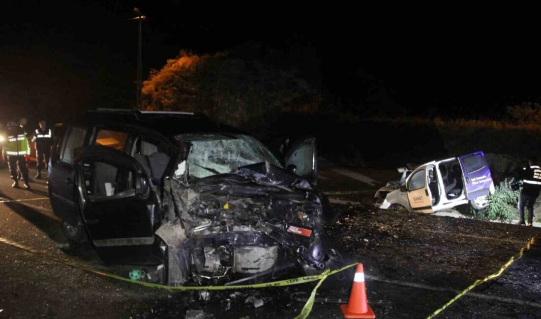 Ordu'nun Ulubey ilçesinde meydana gelen trafik kazasında 75 yaşındaki Recep