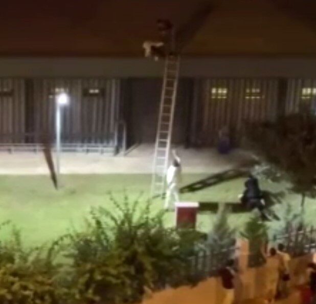 Mersin'in Mezitli ilçesinde bir konser sırasında gençlere müdahale eden özel
