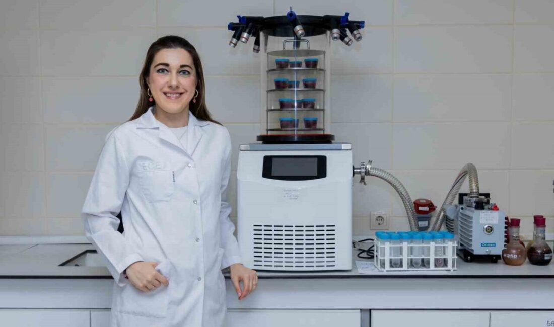 Yaşar Üniversitesi MYO Gıda Teknolojisi Programı Gıda İşleme Bölüm Başkanı