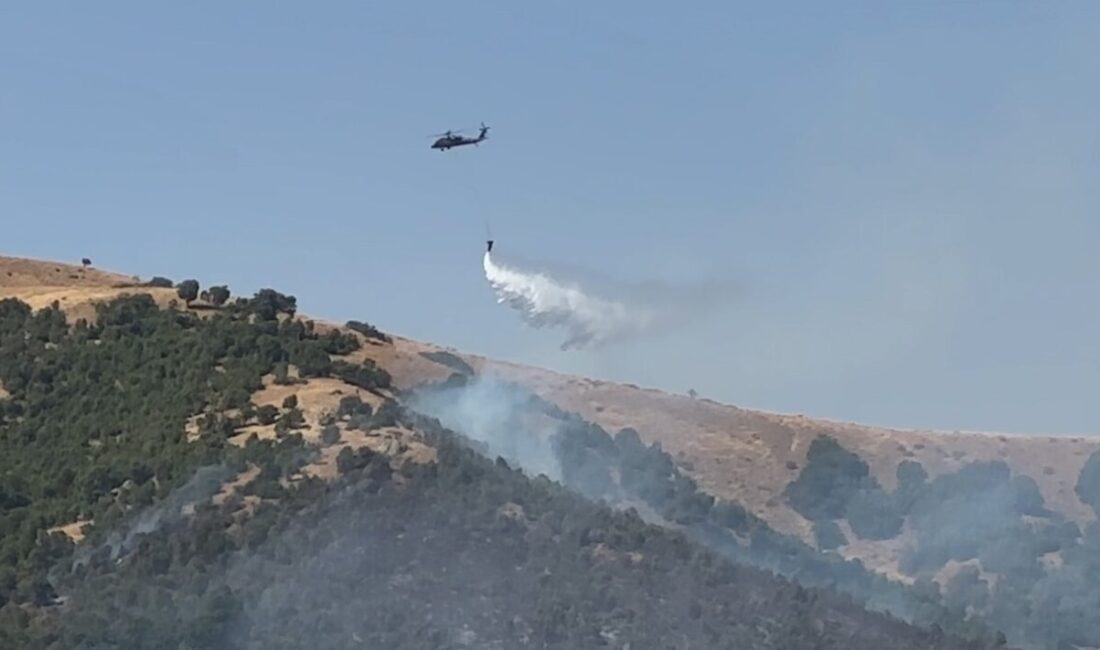 Hakkari'nin Şemdinli ilçesindeki orman yangını, rüzgarın etkisiyle hızlı bir şekilde