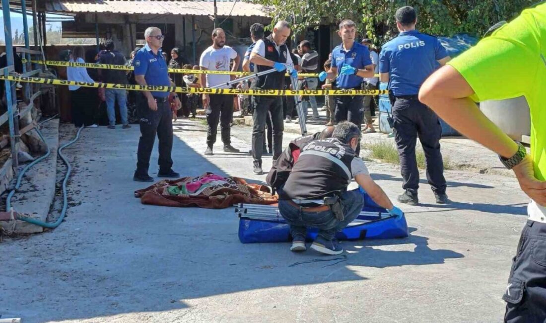 Aydın'ın Efeler ilçesindeki bir hayvan çiftliğinde, 3 yaşındaki El Amr