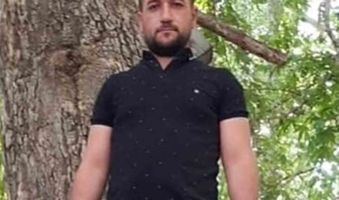 Mersin'in Mut ilçesinde, Ali Çetin'in kullandığı tarım aracı olan taktak,