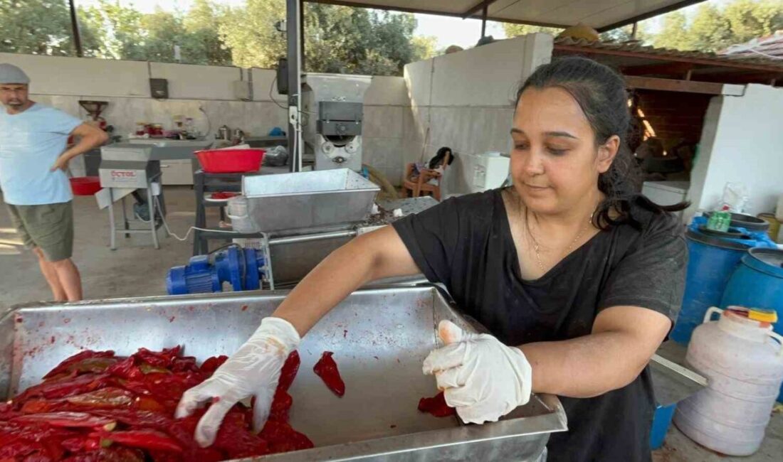 Muğla Yatağan'da 27 yaşındaki Nurşen Turgut, uzun iş arayışının ardından