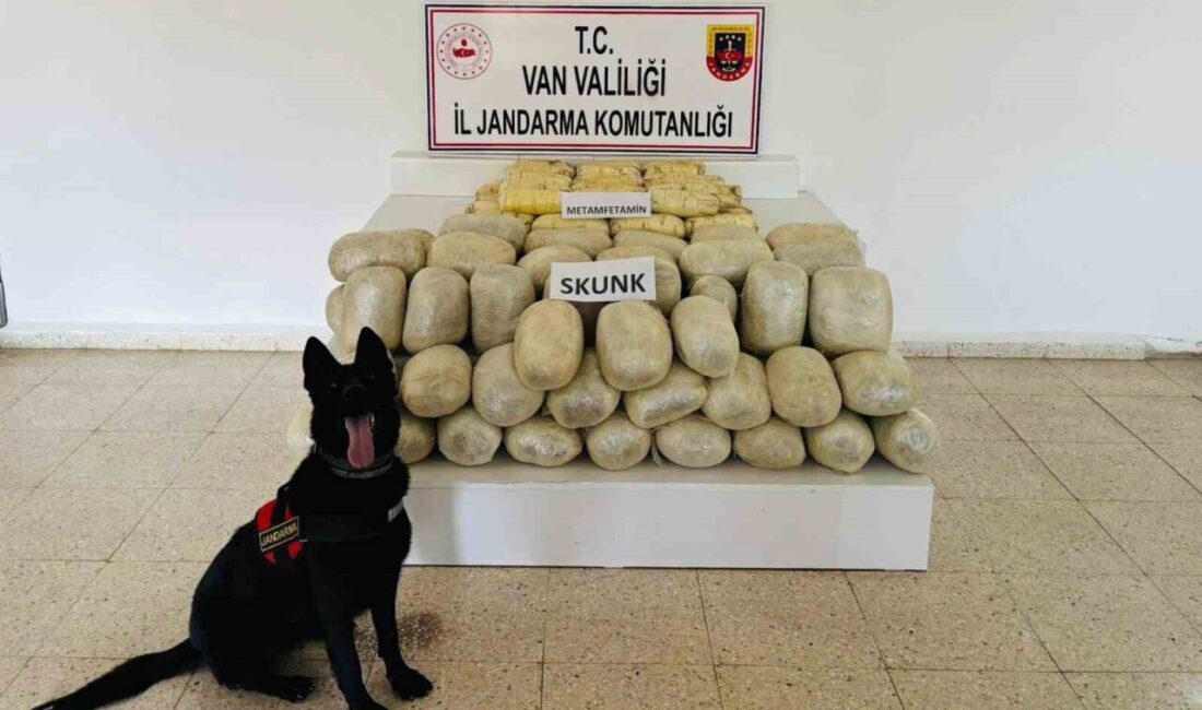 Van'ın Başkale ilçesinde jandarma, yürüttüğü operasyonda 106 kilogram uyuşturucu madde