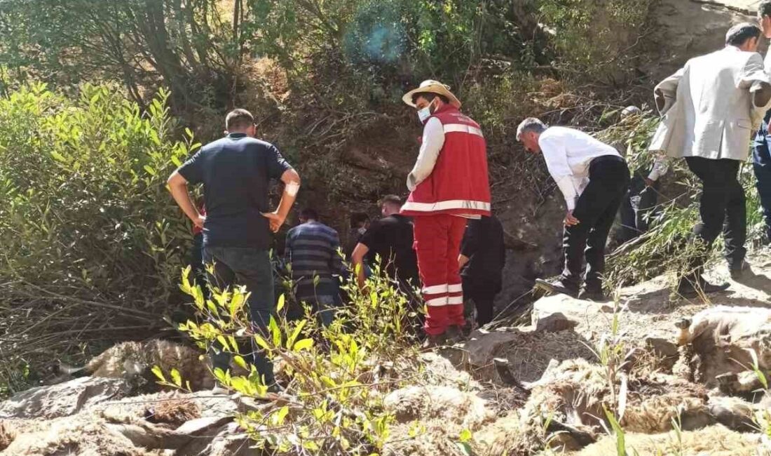 Van'ın Çatak ilçesinde 334 koyun, kayalıklardan düşerek telef oldu. Gece