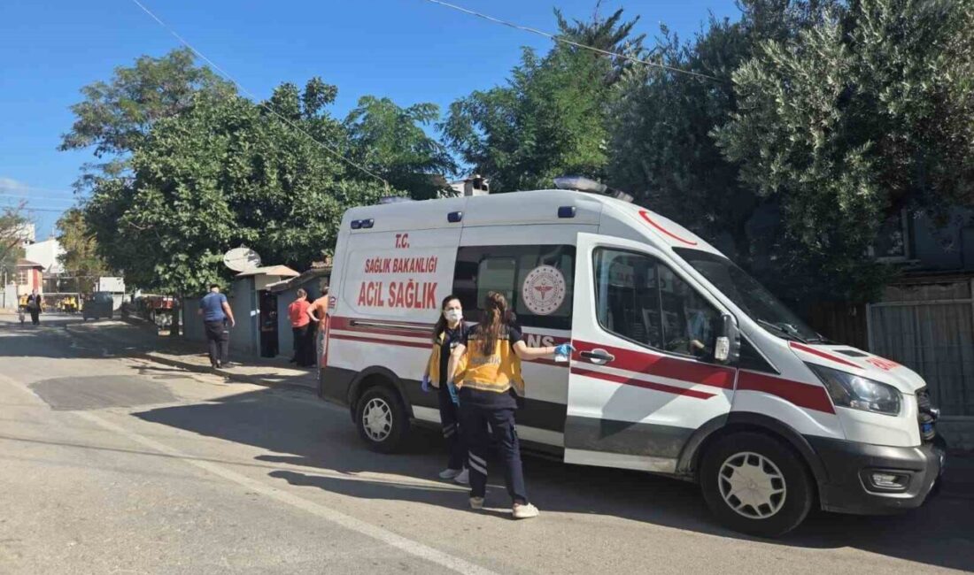 Bursa’nın Orhangazi ilçesinde 67 yaşındaki sıvacı ustası Dursun Ali D.,