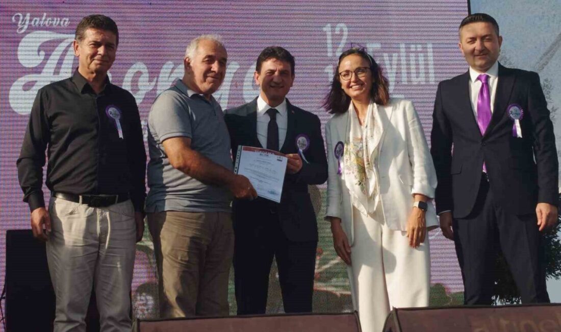 Yalova'da düzenlenen Yalova Aronya Festivali, 12-14 Eylül tarihleri arasında renkli