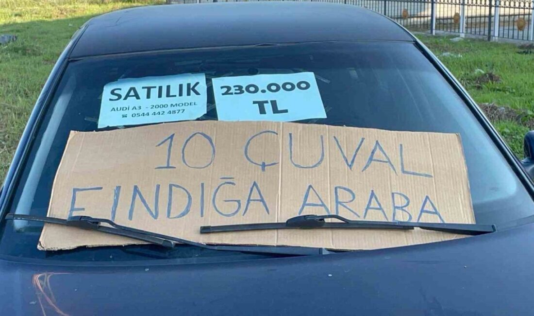 Samsun'un Çarşamba ilçesindeki Aydın Özkurt, arabasını satmak için ilginç bir