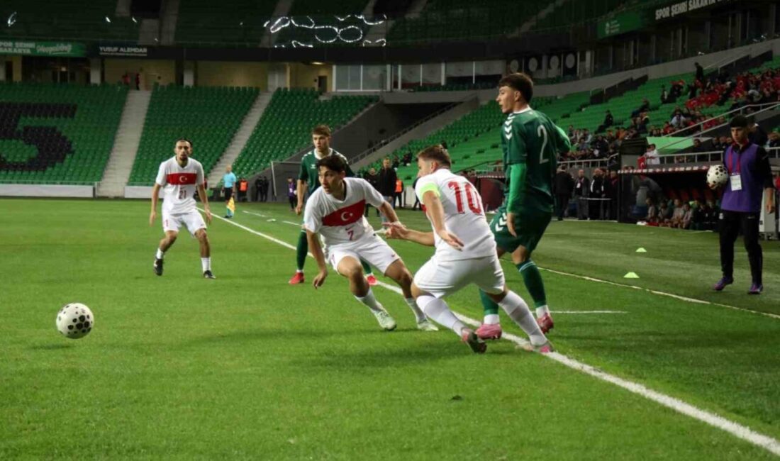 Türkiye, Yeni Sakarya Atatürk Stadyumu'nda oynanan karşılaşmada Litvanya'yı 2-0 mağlup