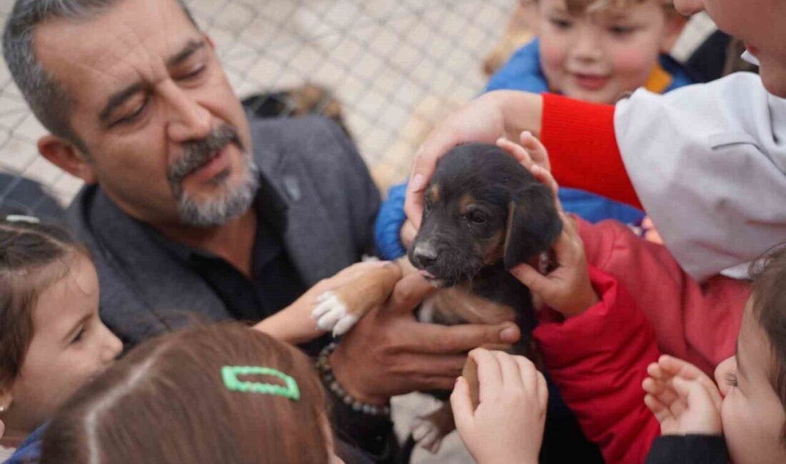 Bilecik'deki Sokak Hayvanları Tedavi ve Rehabilitasyon Merkezi, 4 Ekim Hayvanları
