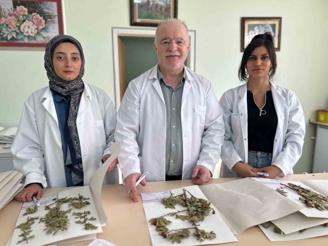 VANF Herbaryumu, 90 Bin Bitki Örneğiyle Türkiye’nin Bilimsel Zenginliğini Gözler Önüne Seriyor