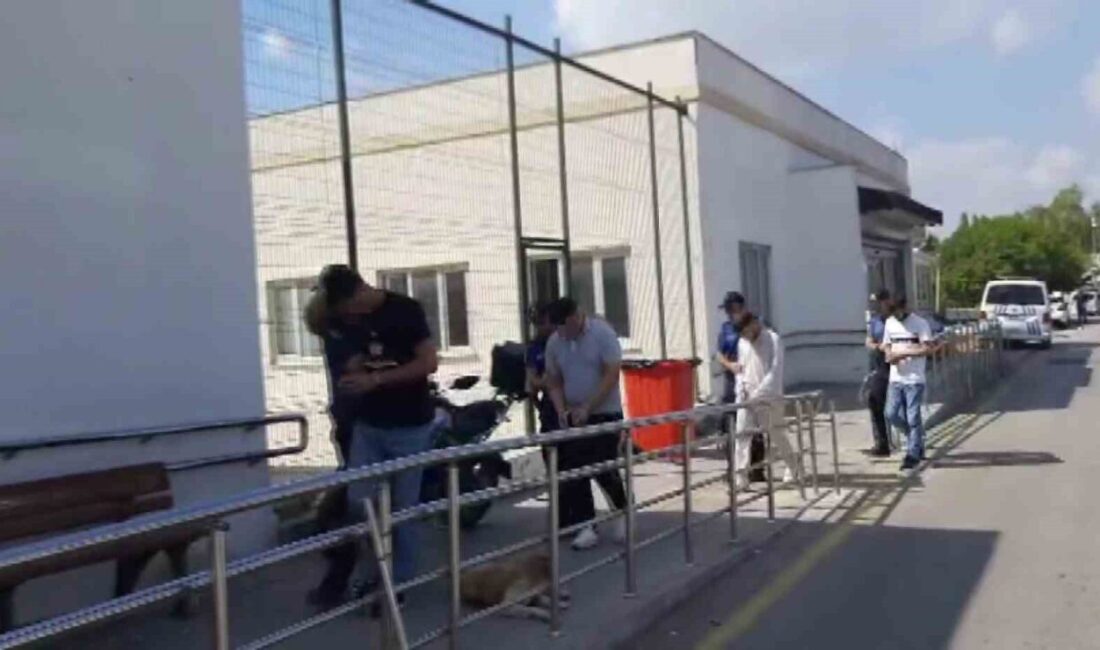 Adana'da 26 Eylül'de meydana gelen alacak-verecek meselesi nedeniyle çıkan kavgada