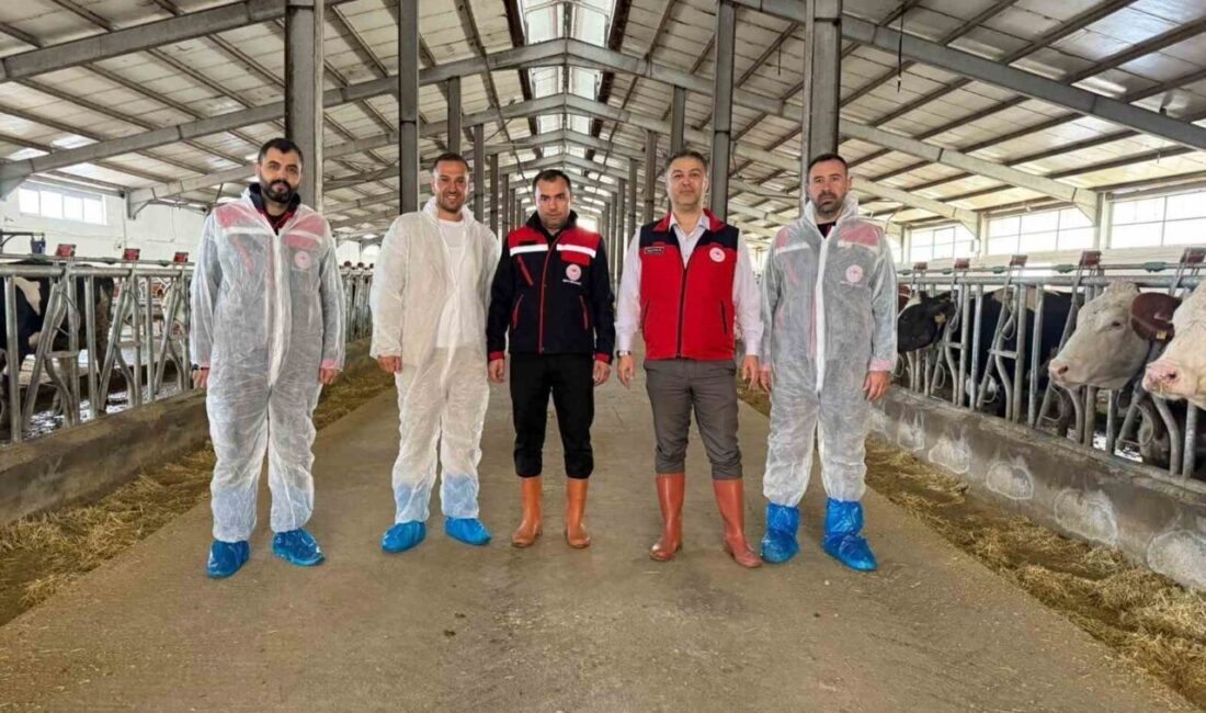 Afyonkarahisar’da Hayvancılıkta Yeni Bir Başarı: ‘Hastalıktan Ari İşletme’ Sertifikası Sahibi Bir İşyeri Daha Açıklandı Afyonkarahisar’da hayvancılığın gelişimi için önemli adımlar atılmaya devam ediyor. İl