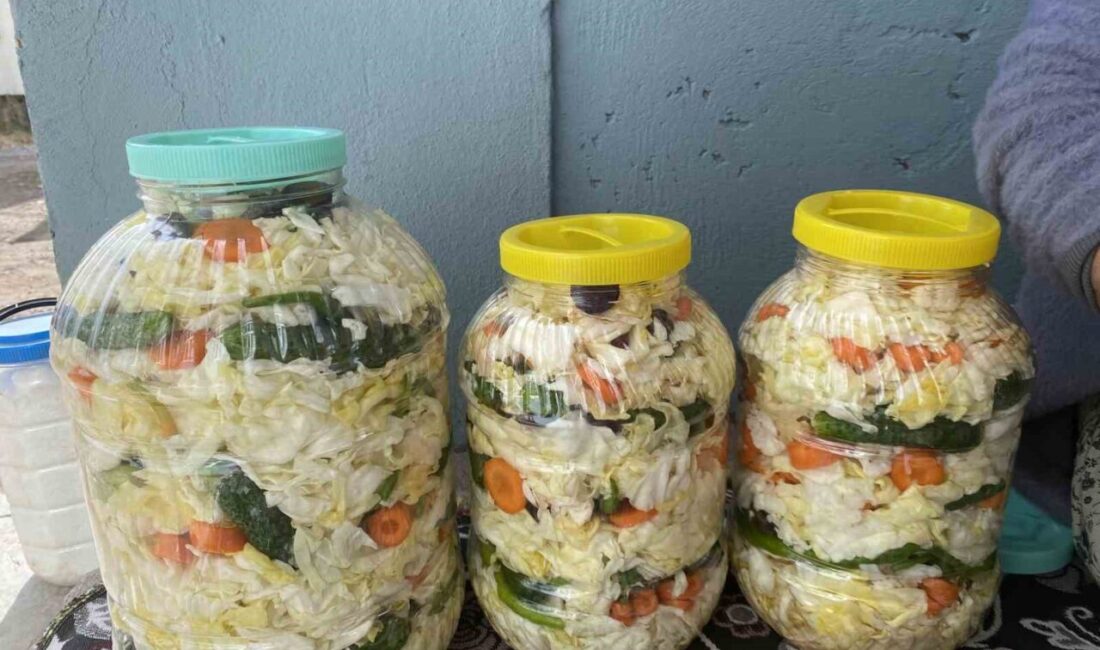 Ağrı’nın Patnos ilçesinde kadınlar, kış için geleneksel yöntemlerle lahana turşusu