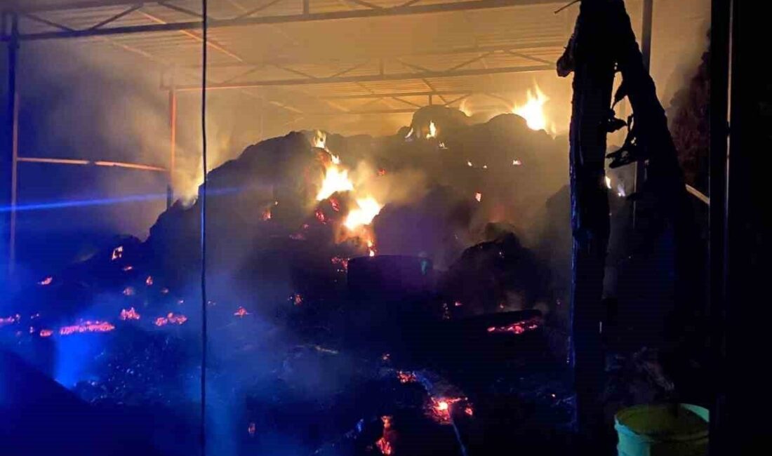 Antalya'nın Gazipaşa ilçesinde, Hayati Yaman'a ait ahırda çıkan yangında bir