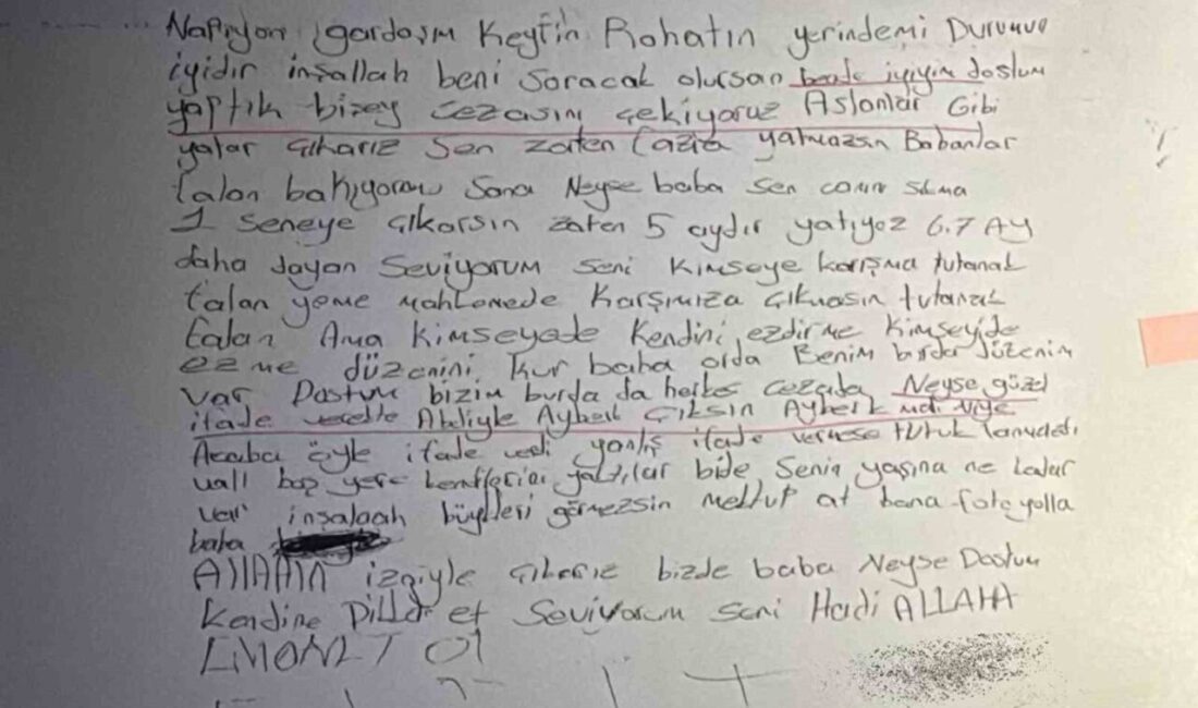 İstanbul Kadıköy'de 15 yaşındaki Mattia Ahmet Minguzzi’yi öldürdüğü gerekçesiyle tutuklu