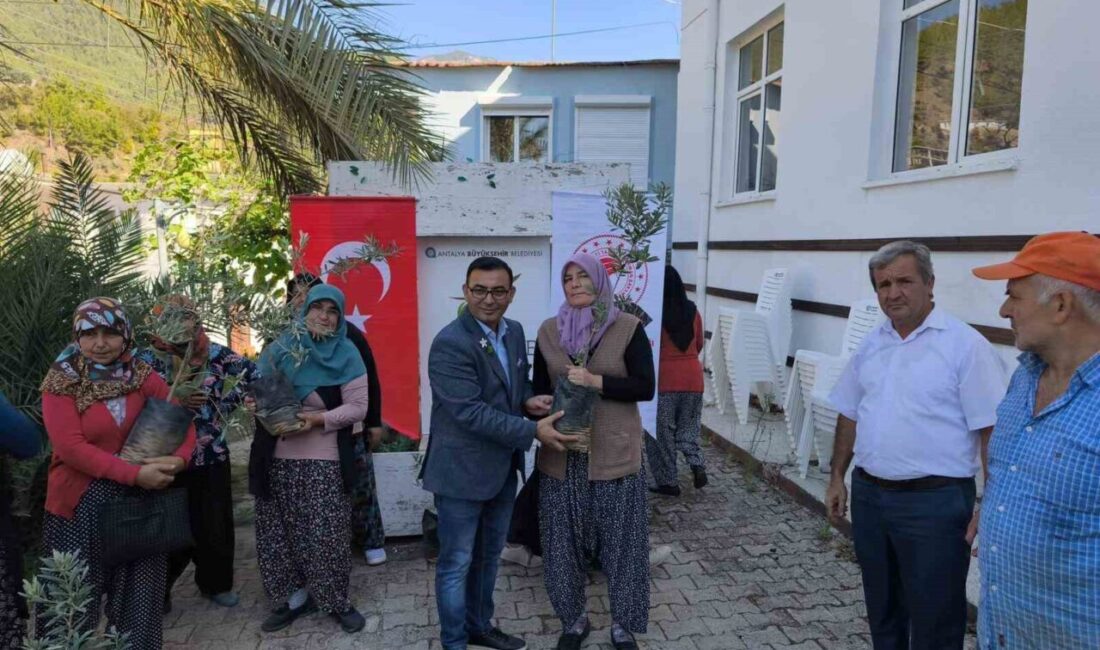 Dünya Kadın Çiftçiler Günü’nde Alanya’da Kadın Üreticilere Zeytin Fidanı Dağıtıldı Alanya İlçe Tarım ve Orman Müdürü İhsan İnal, 15 Ekim