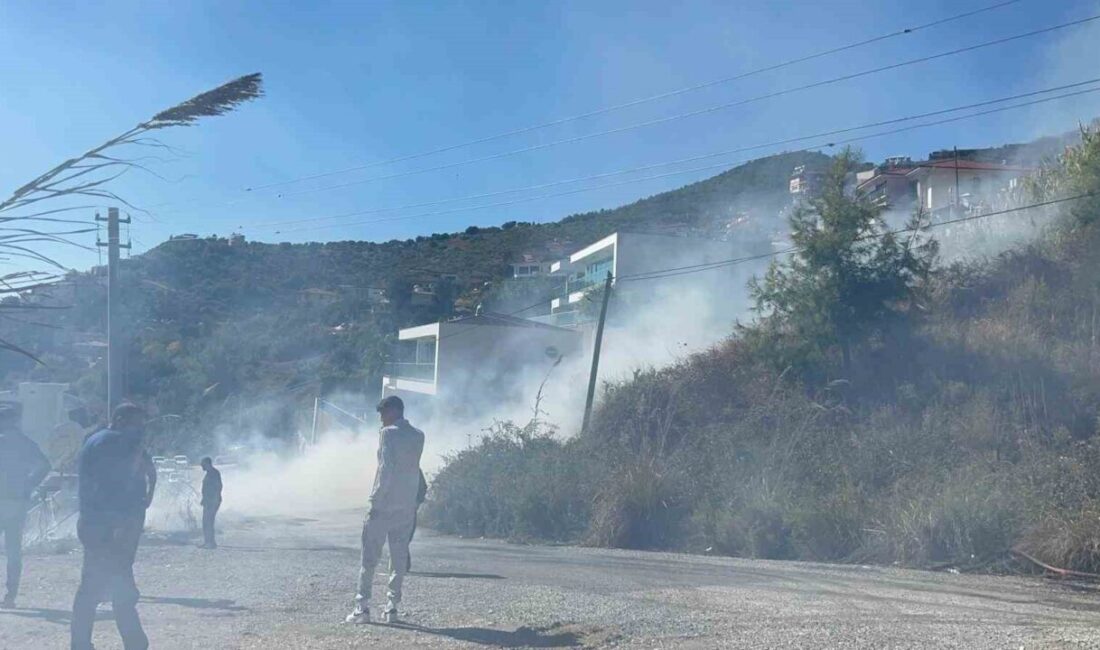 Alanya'nın Sugözü Mahallesi'nde ağaçlık alanda çıkan yangın, vatandaşların ihbarıyla hızla