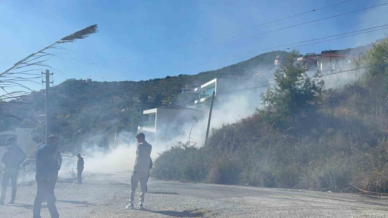 Alanya'nın Sugözü Mahallesi'nde ağaçlık alanda çıkan yangın, vatandaşların ihbarıyla hızla