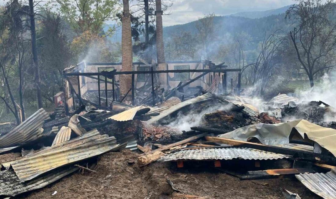 Kastamonu'nun Küre ilçesindeki Uzunöz Ambarlı köyünde, Mustafa Nedim Özkök'e ait