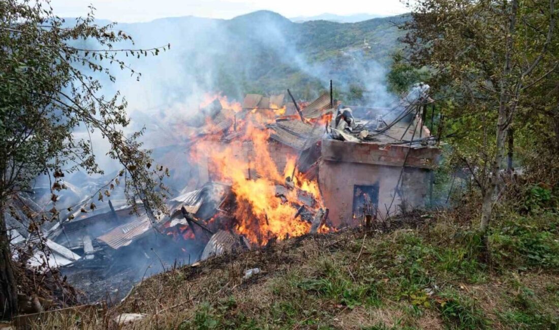 Kastamonu'nun Bozkurt ilçesinde Ali Dinç'e ait iki katlı ahşap evde