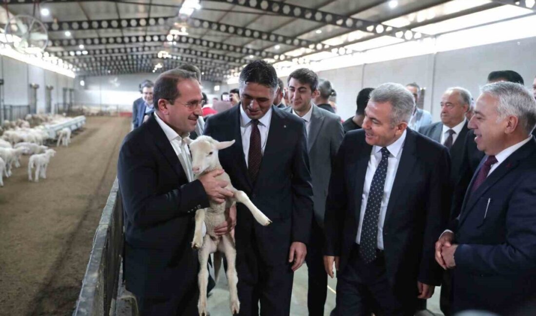 Aliağa’da Hibeli Koç ve Koyun Dağıtımıyla Tarımsal Üretim Destekleniyor Aliağa Belediyesi ve İzmir İl Tarım ve Orman Müdürlüğü iş