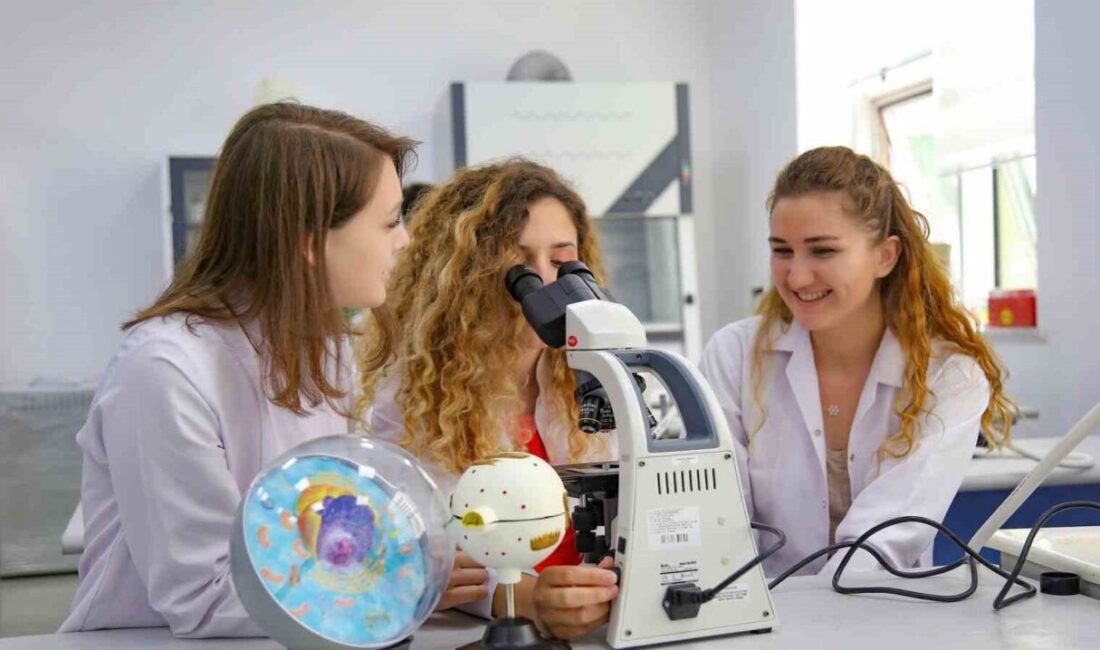 Alanya Alaaddin Keykubat Üniversitesi (ALKÜ), Times Higher Education 2026 Dünya
