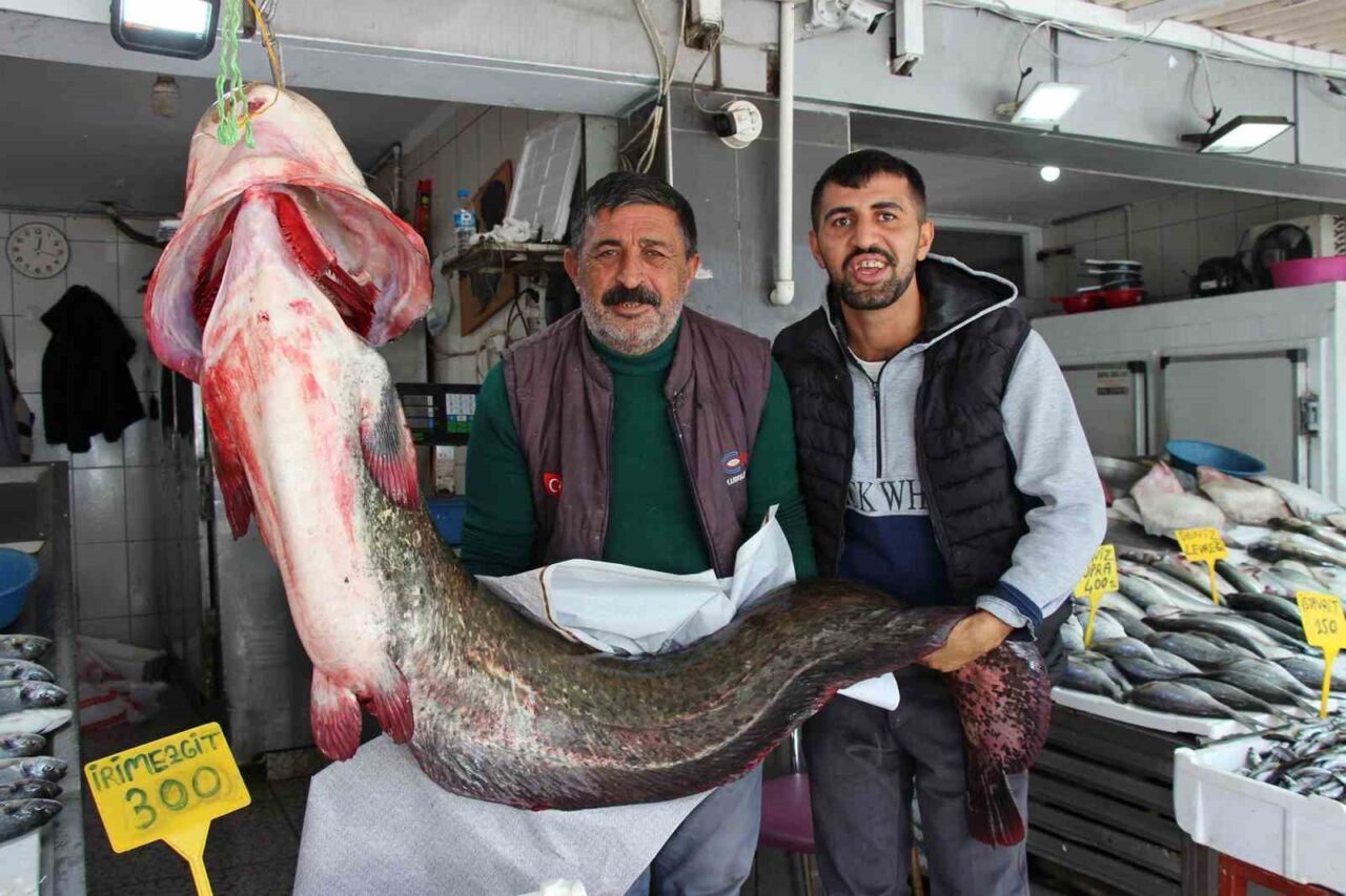 Samsun'daki Altınkaya Barajı’nda buluşan balıkçılar, 2 metre uzunluğunda ve 85