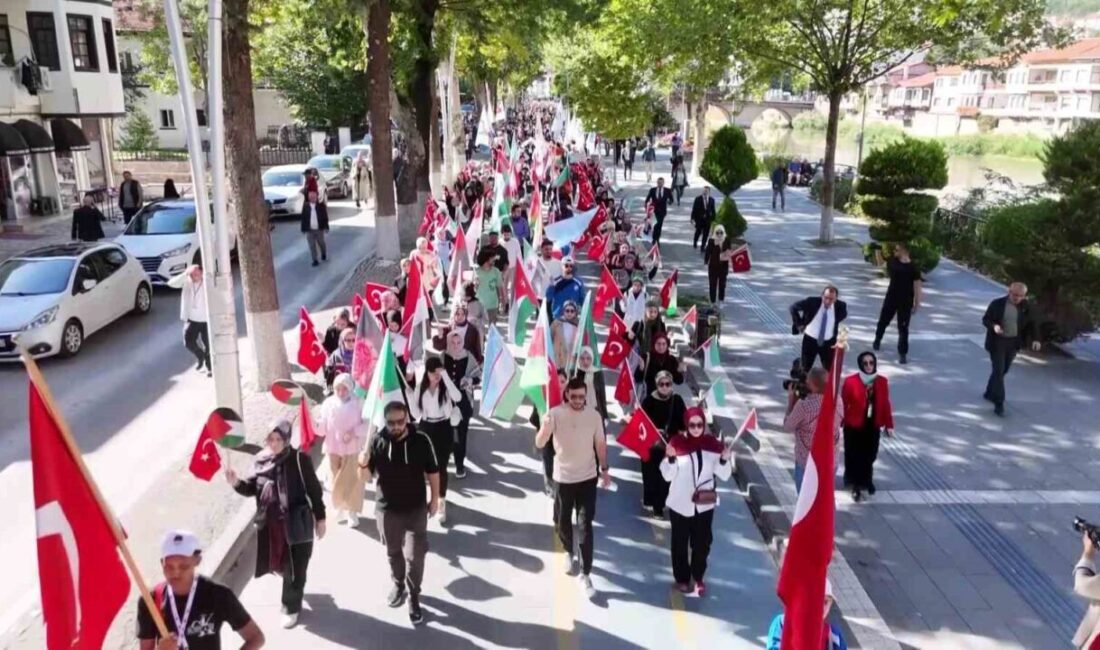 Amasya'da üniversite öğrencileri, 'Dilimiz farklı, kalbimiz aynı' temasıyla Filistin'e destek