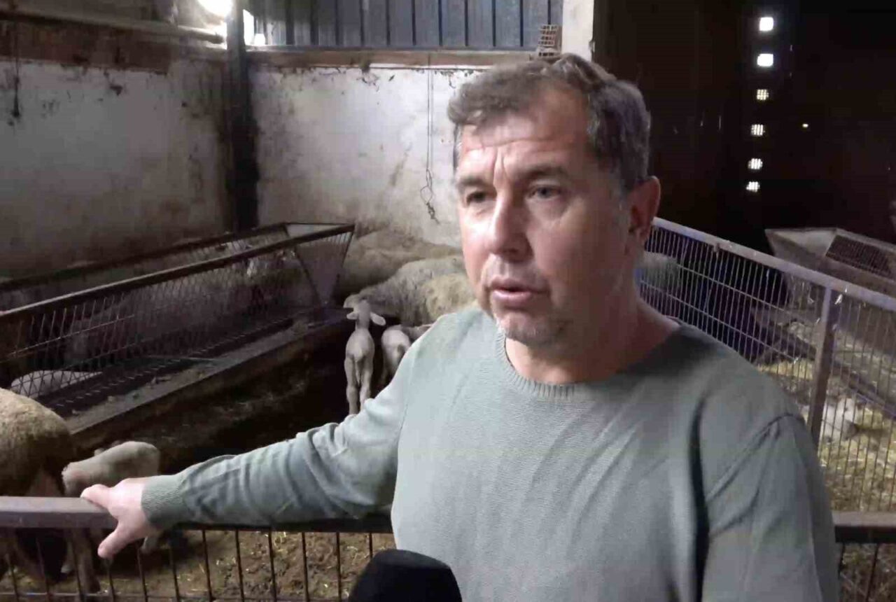 Bursa'nın Yenişehir ilçesinde şap hastalığı, besicileri zorlu bir duruma sürüklüyor.