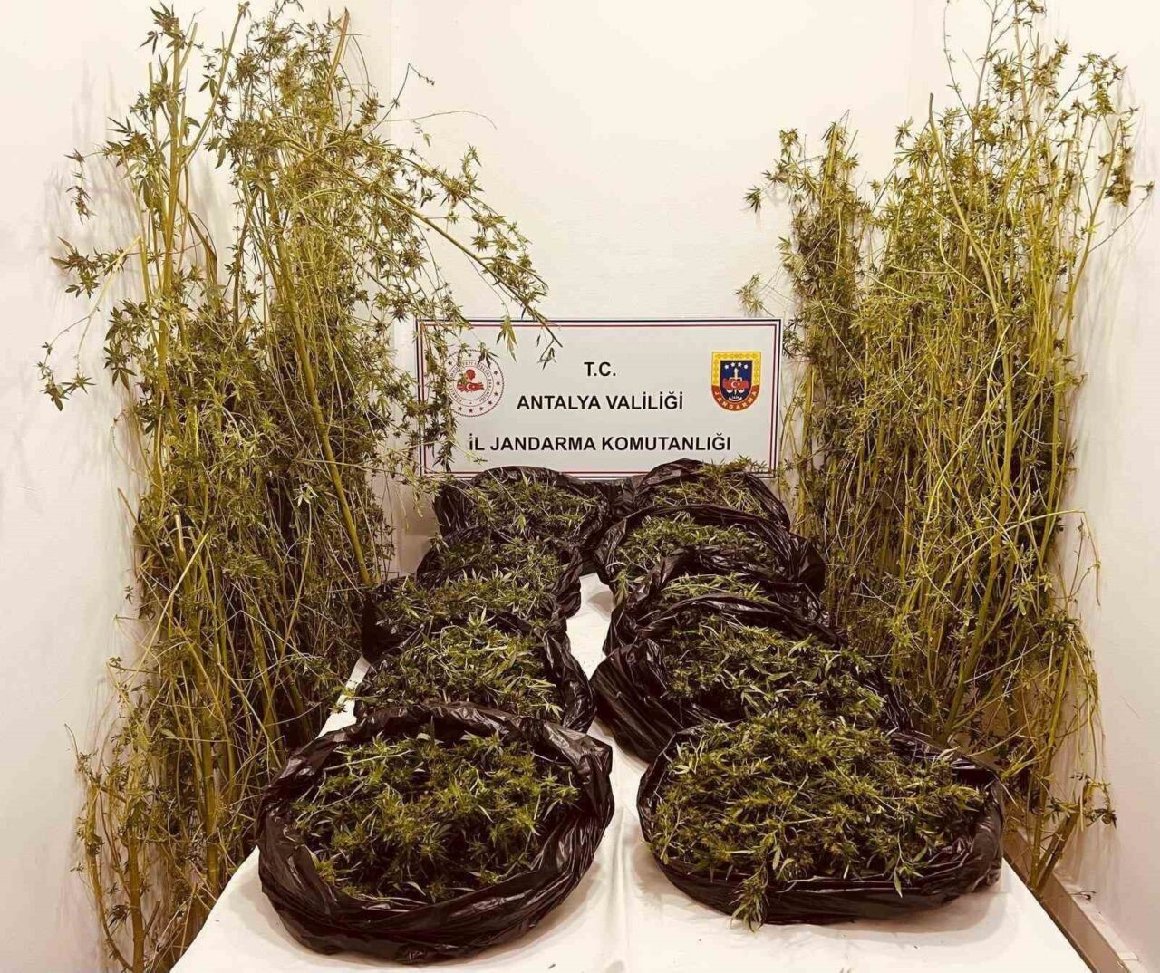 Antalya İl Jandarma Komutanlığı, Kepez ve Aksu ilçelerinde düzenlediği operasyonda