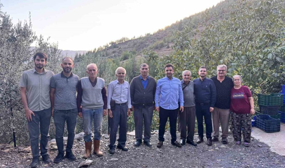Antalya'nın Gazipaşa ilçesinde çekirdeksiz nar hasadı başladı. Kaymakam Selami Korkutata,