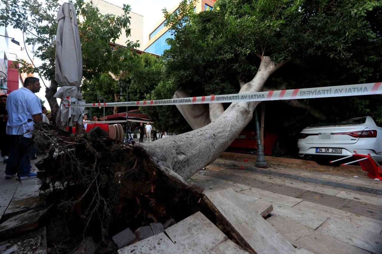 Antalya’da Devrilen Ağaç Park Halindeki Araçlara Zarar Verdi, Bir Kişi Son Anda Kurtuldu