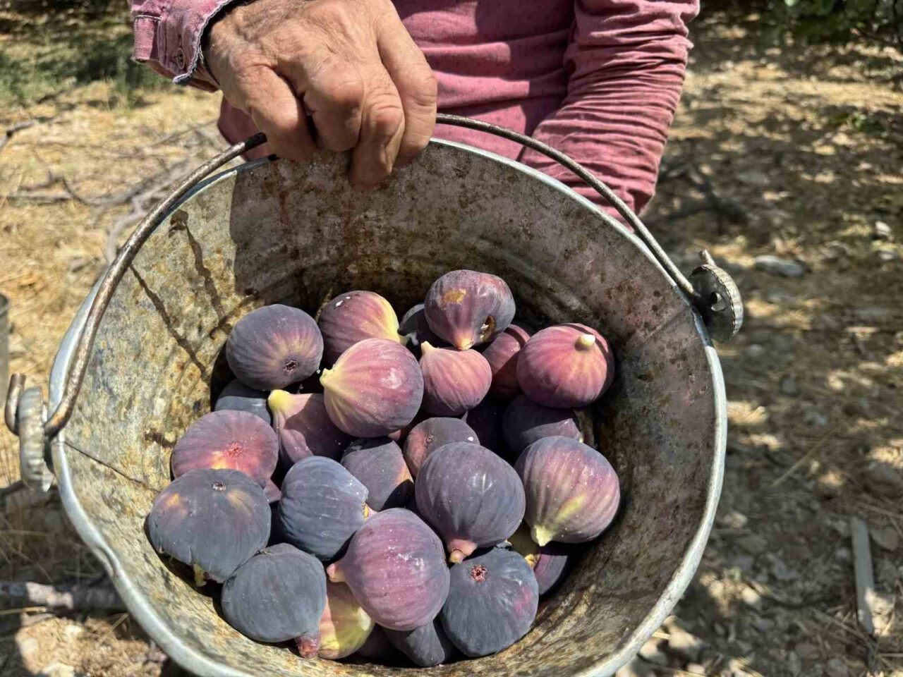 Antalya'nın İbradı ilçesinde, hava koşulları nedeniyle gecikmeli olarak başlayan Bursa