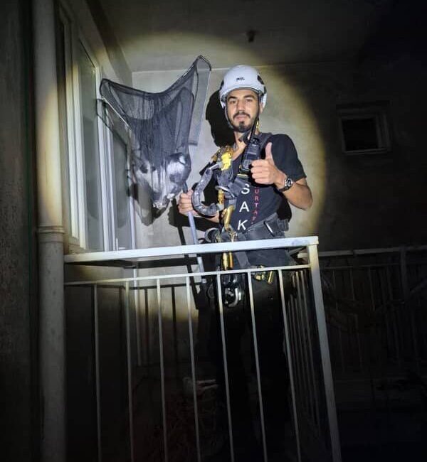 Aydın'ın Efeler ilçesinde apartman boşluğuna düşen yavru kedi, Acil Sivil