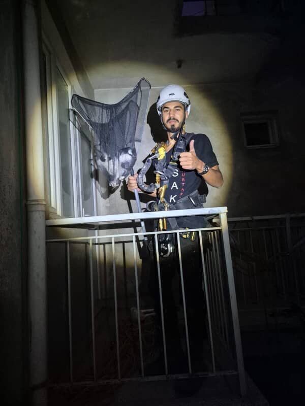 Aydın'ın Efeler ilçesinde apartman boşluğuna düşen yavru kedi, Acil Sivil