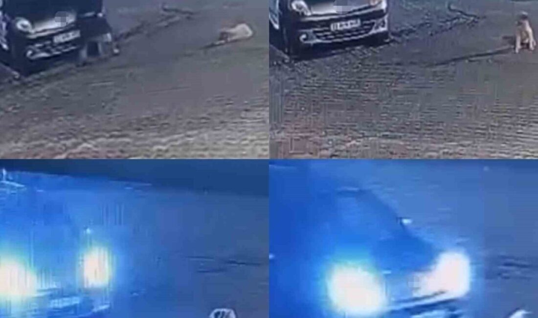 Mersin’in Anamur ilçesinde, K.A. isimli sürücü, gece 3 aylık bir