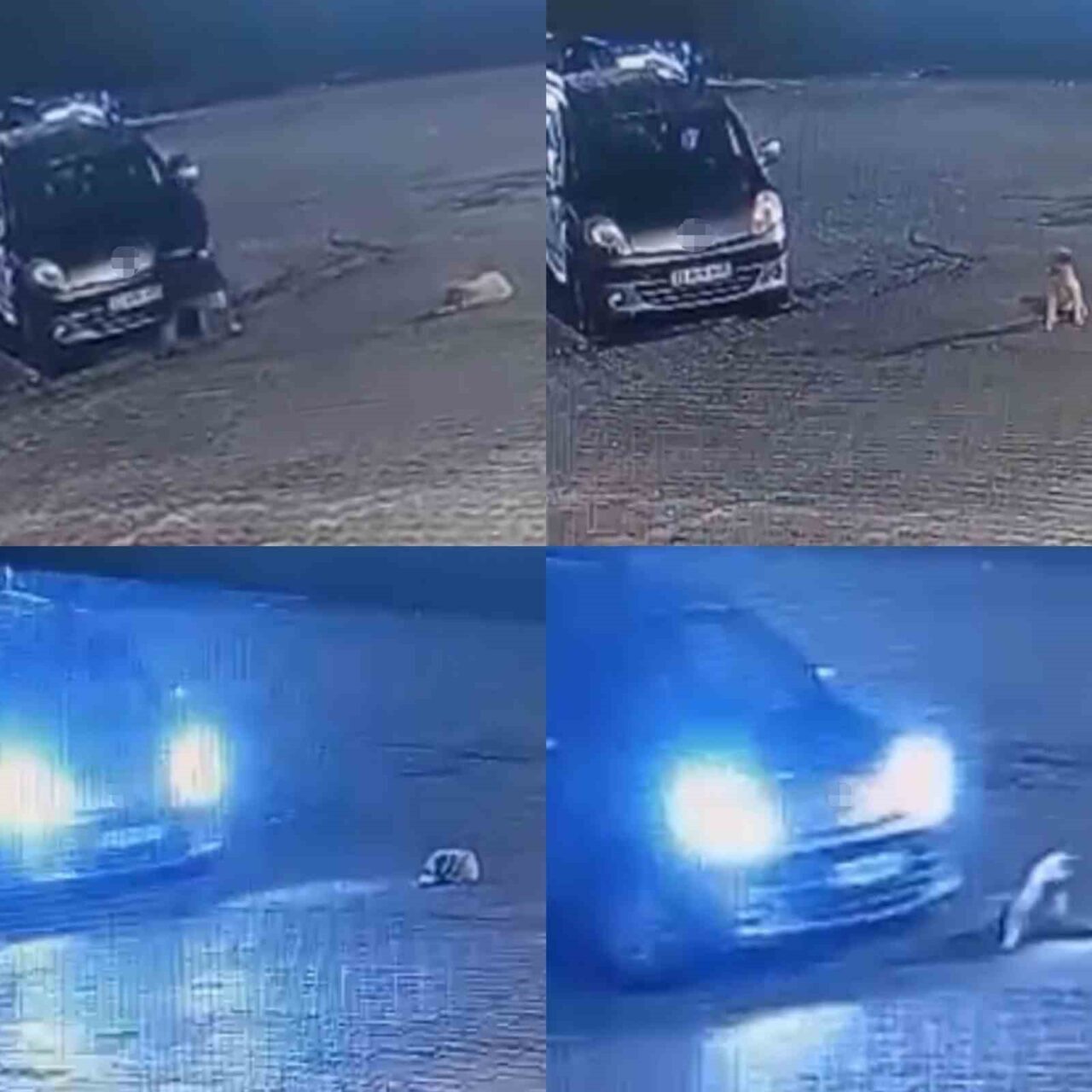 Mersin’in Anamur ilçesinde, K.A. isimli sürücü, gece 3 aylık bir