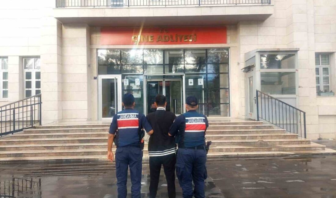 Aydın'ın Çine ilçesinde, 8 yıl 7 ay 69 gün hapis