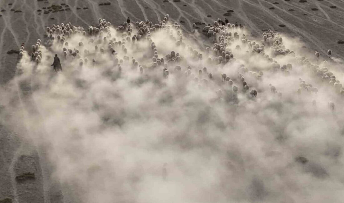 Karapınar’da Dron ile Havadan Görüntülenen Koyun Sürüleri, Gün Batımında Farklı Bir Manzara Yarattı Konya'nın Karapınar ilçesinde, koyun ve kuzuların otlaktan dönüşü dron ile