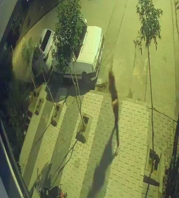 İstanbul Arnavutköy'de frenleri patlayan hafif ticari araç, oyun oynayan çocukların