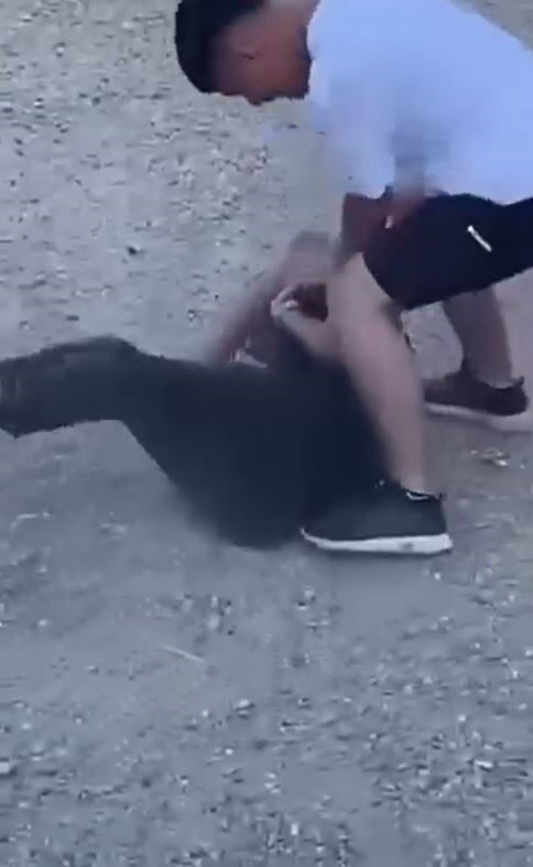 İstanbul Arnavutköy Şehir Parkı’nda bir grup genç arasında çıkan kavgada