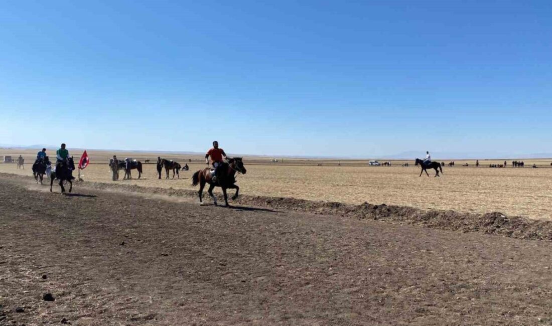 Arpaçay’da Geleneksel Rahvan At Yarışları Coşkuyla Gerçekleştirildi Arpaçay'da düzenlenen 4. Geleneksel Rahvan At Yarışları, çeşitli illerden katılan