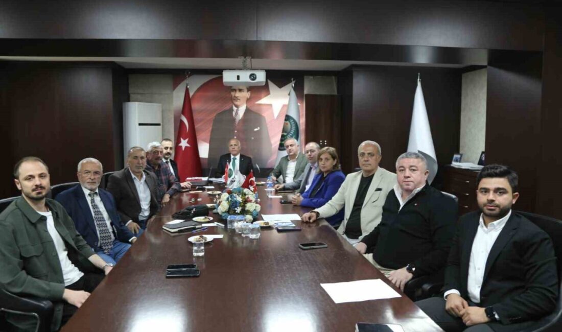 Artvin Ticaret Borsası, 2025-2026 zeytin hasadı için fiyatları belirledi. Yönetim