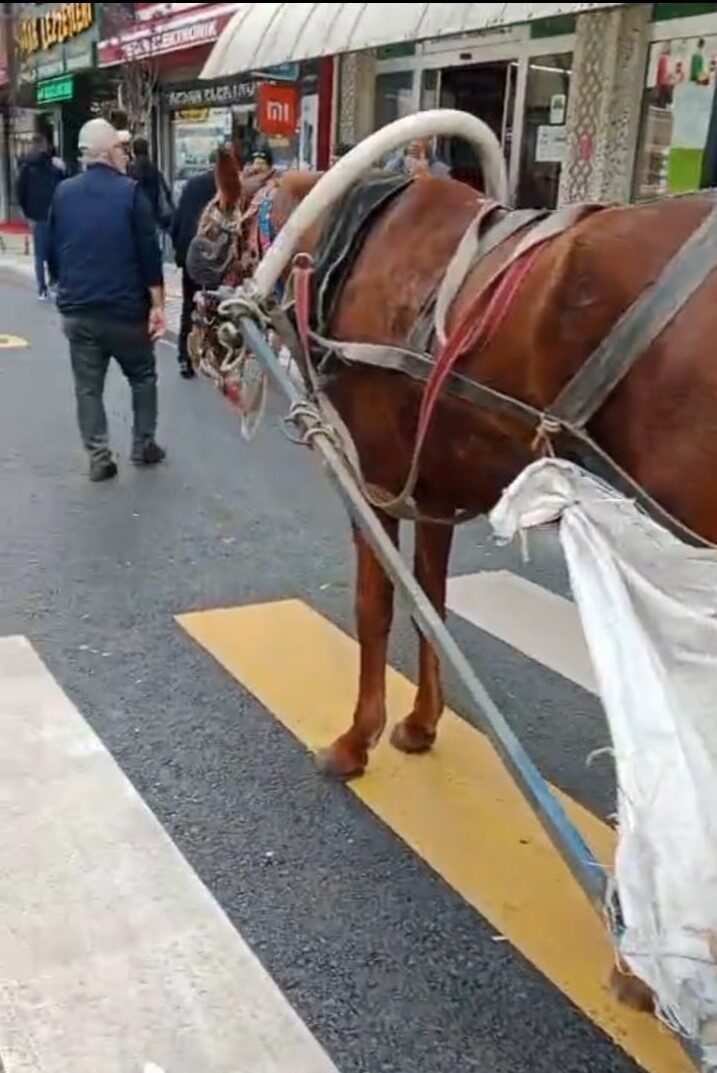 Edirne'nin Keşan ilçesinde, polis ekipleri yaya geçidi üzerine park eden