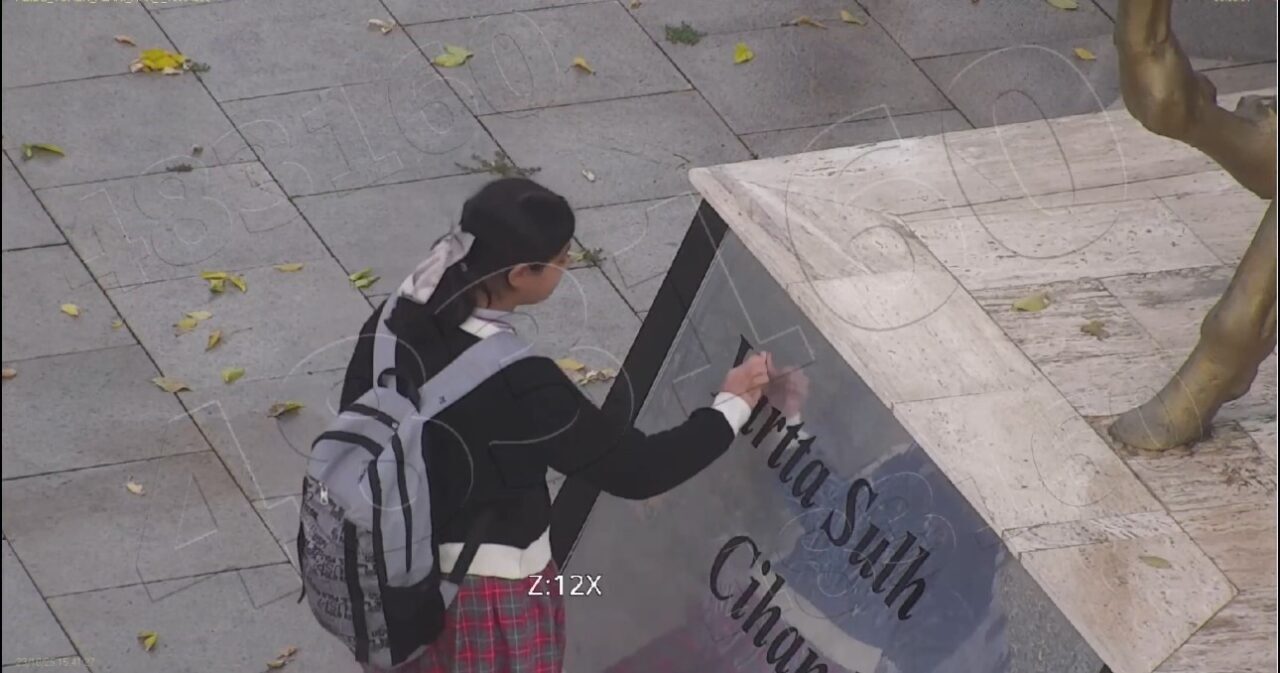 Ağrı'da minik Asmin Erdem'in Atatürk büstünü temizleyip selam vermesi, Cumhuriyet