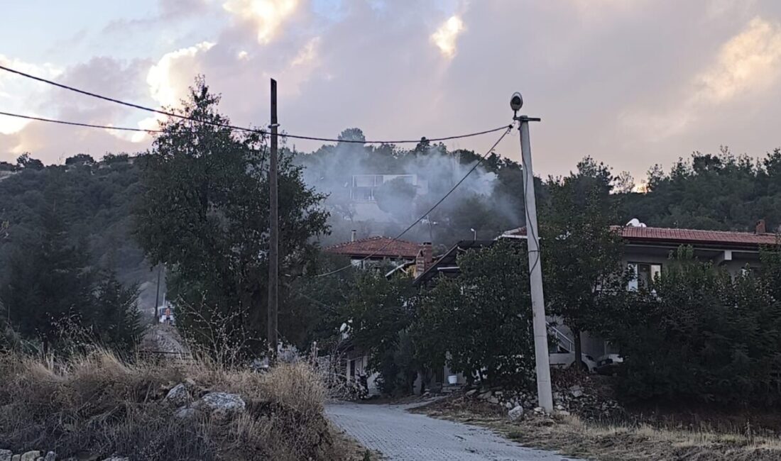 Denizli'nin Buldan ilçesinde bir yazlığın bahçesindeki kuru otların temizlenmesi amacıyla