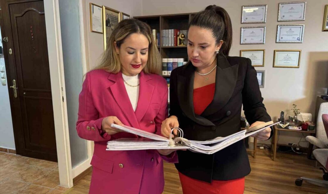 İstanbul'da boşanan Buğra B. ve Ezgi B., iki kedinin velayetini