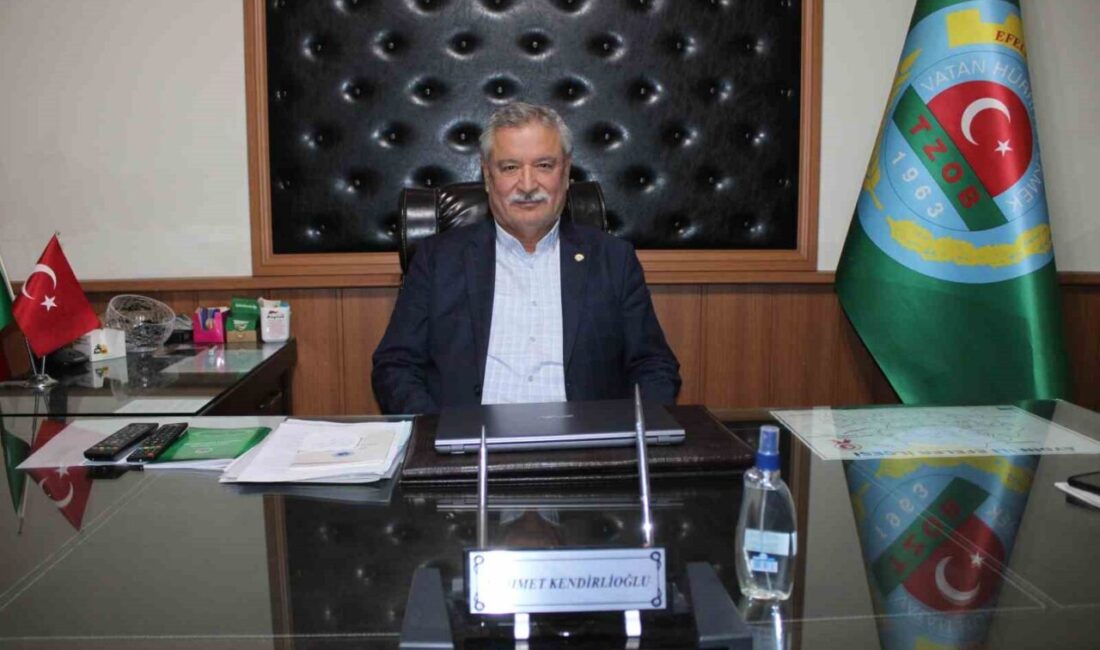Aydın Ziraat Odası Başkanı Mehmet Kendirlioğlu, pamuk fiyatlarının 4 yıldır